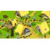 Asterix and Obelix Heroes (Switch, російські субтитри) купить в интернет-магазине ⭐ GameSpot.com.ua ⭐ Asterix and Obelix Heroes (Switch, російські субтитри), ,
